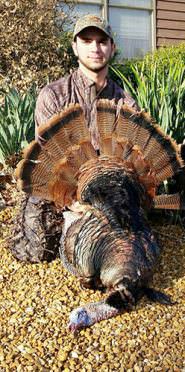 Kentucky man harvests world record wild turkey.
