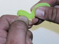 5.BendTubeSharplyAndpokeHookStraightThru