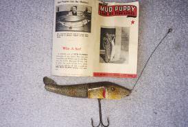 An early Mud Puppy lure; the body is an even 50/50 split. Lures later would have a smaller back half.