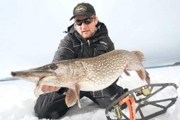 Monster pike caught on a tip-up