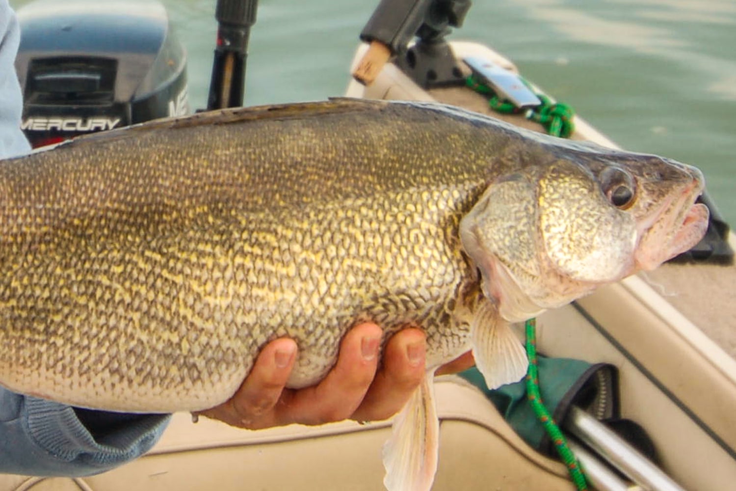 Live Bait Rigging for Walleyes - MidWest Outdoors