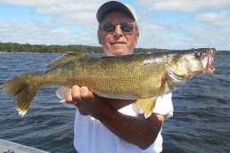 Big walleye caught with a slip bobber.