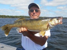Big walleye caught with a slip bobber.