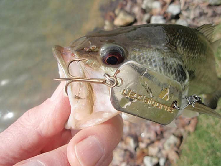 Topwater Time: Three lure styles every fall angler should possess - Outdoor  News