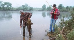 A photograph of the two guys netting a monster flathead.