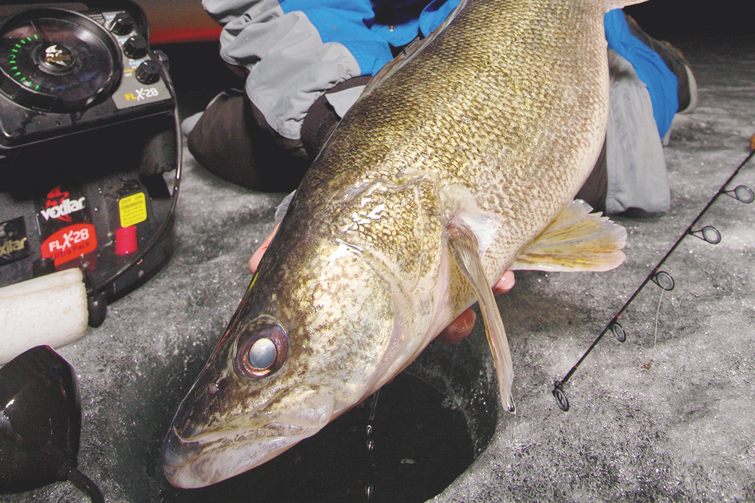 Night-Shift Walleyes - MidWest Outdoors