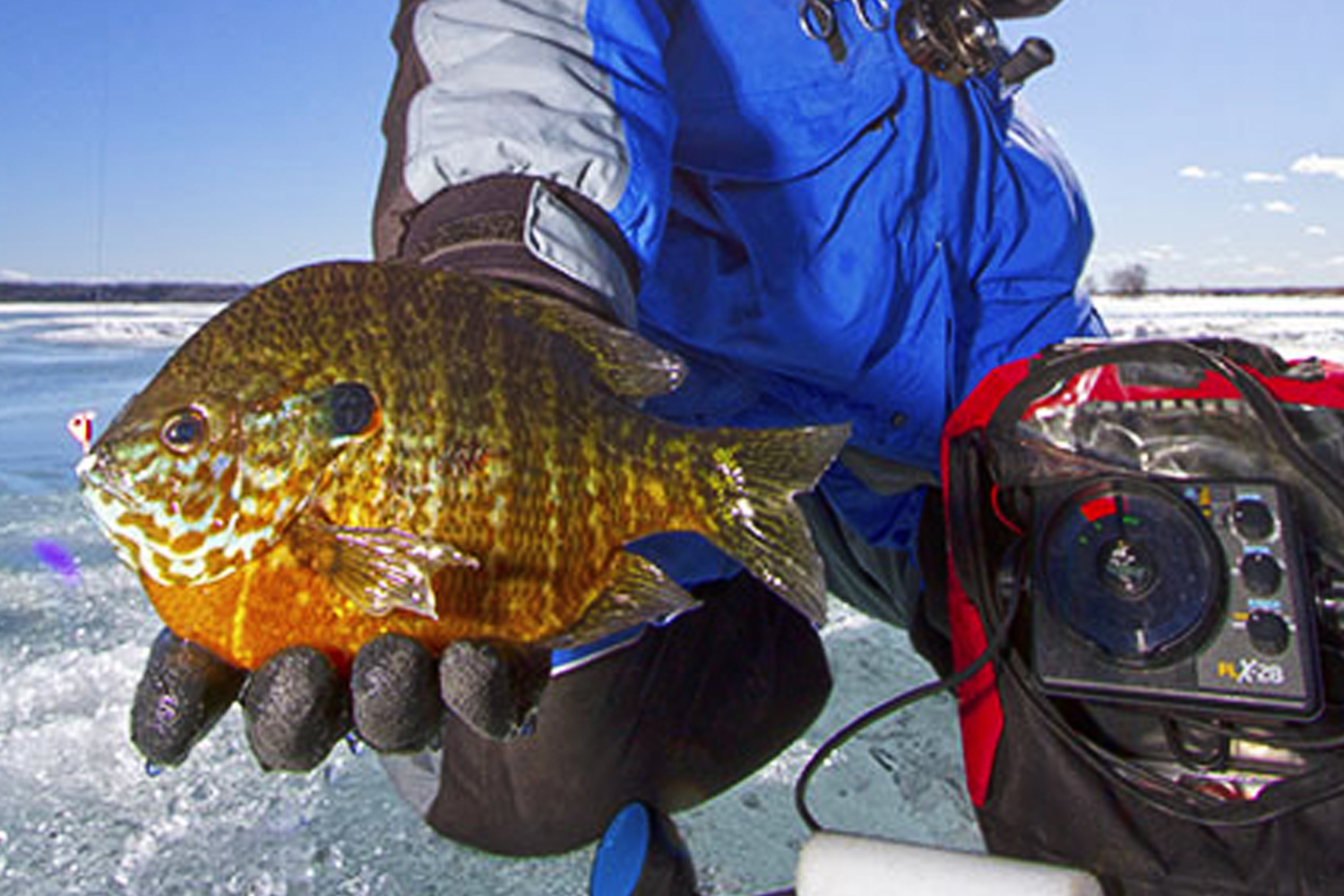 Drop-shot Rigging Techniques for Panfish - MidWest Outdoors