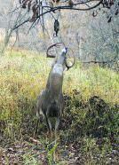 Although Magnum Scrape Drippers will freeze up in very cold temperatures, as long as the daytime highs warm above freezing and you hang them where the sun can hit them, they will continue to work; this buck loves the smell emanating from the dripper. 