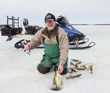 Crappies, up to 15 inches, surrounded by the beautiful scenery of the Lake of the Woods—Northwoods wilderness. 