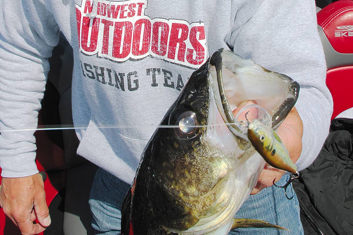 In Springtime, the Rainy Lake Walleye Fishing is Easy - MidWest