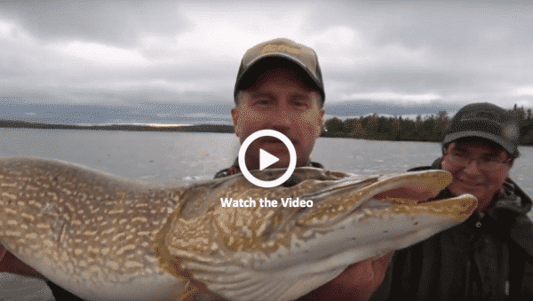 Northern Pike - Milton Lake Lodge