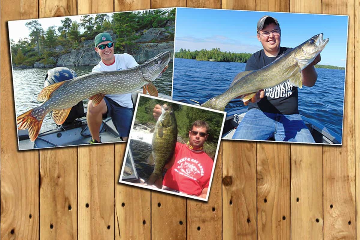Golden Walleye Fishing Jackpot at Viking Lodge - MidWest Outdoors
