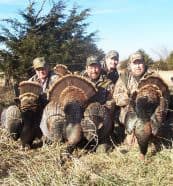 Hunters can take three turkeys each during Kansas winter season, all on the same day. 