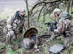 Rob Keck shooting an on-camera interview with his gobbler for NWTF TV show.