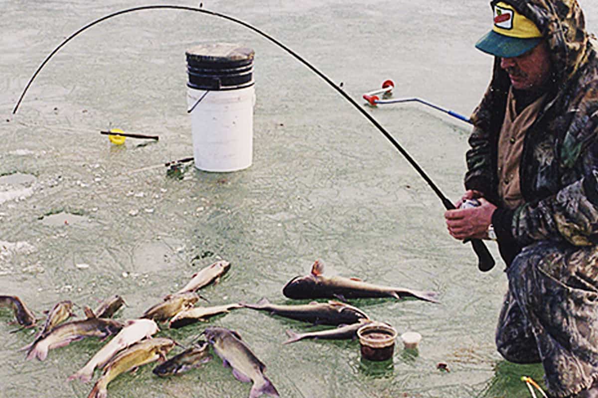 Tapping Iced-over Farm Ponds for Winter Catfish - MidWest Outdoors
