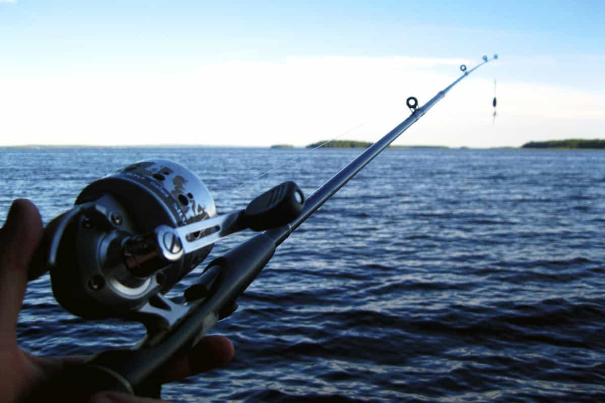 manufacture of fishing rods and reels, manufacture of fishing rods