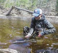 Cradling a steelhead with both hands, as described in the text, makes for a gentle and successful release. 