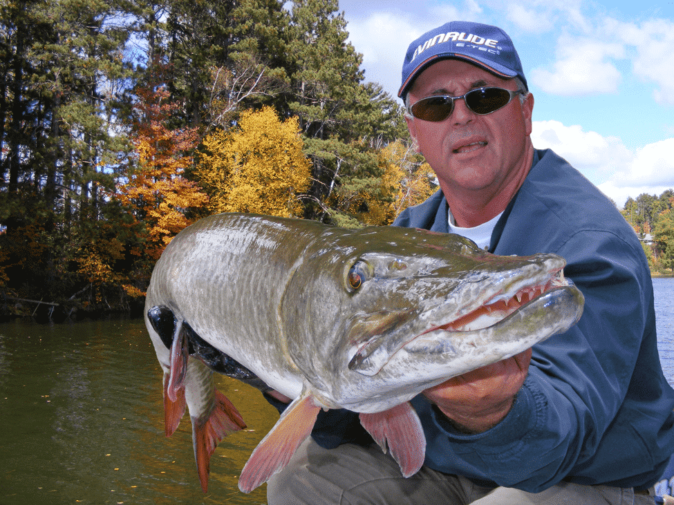 Fall Muskie Madness - MidWest Outdoors