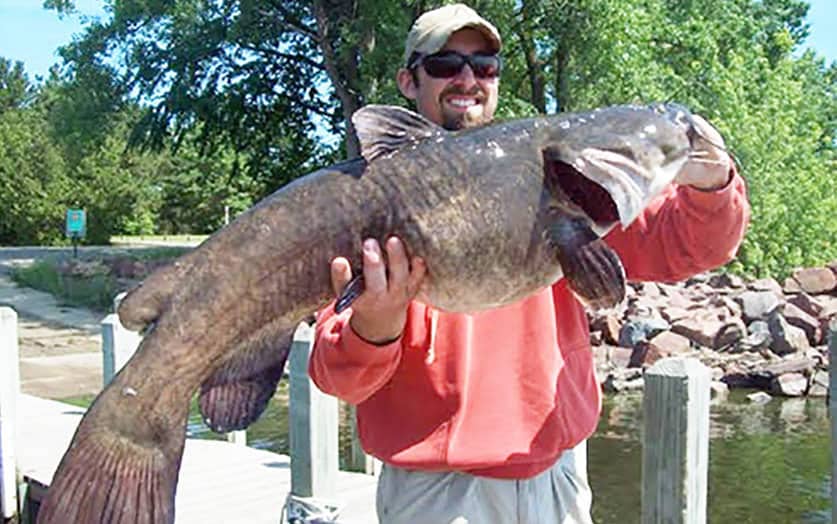 Get catfish at trout opener