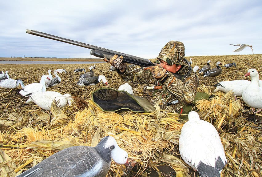 decoy storage  Duck hunting, Waterfowl hunting, Hunting