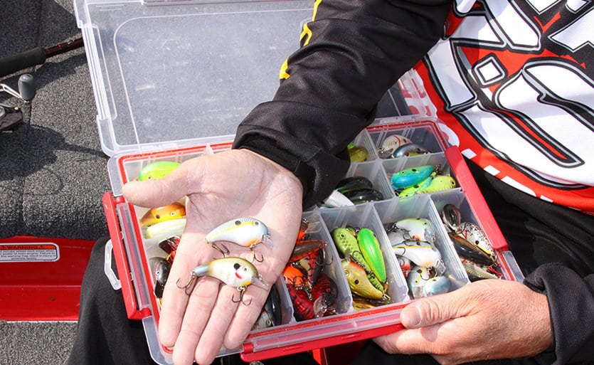 Bass Master KVD Ponders the Importance of Lure Color - MidWest Outdoors