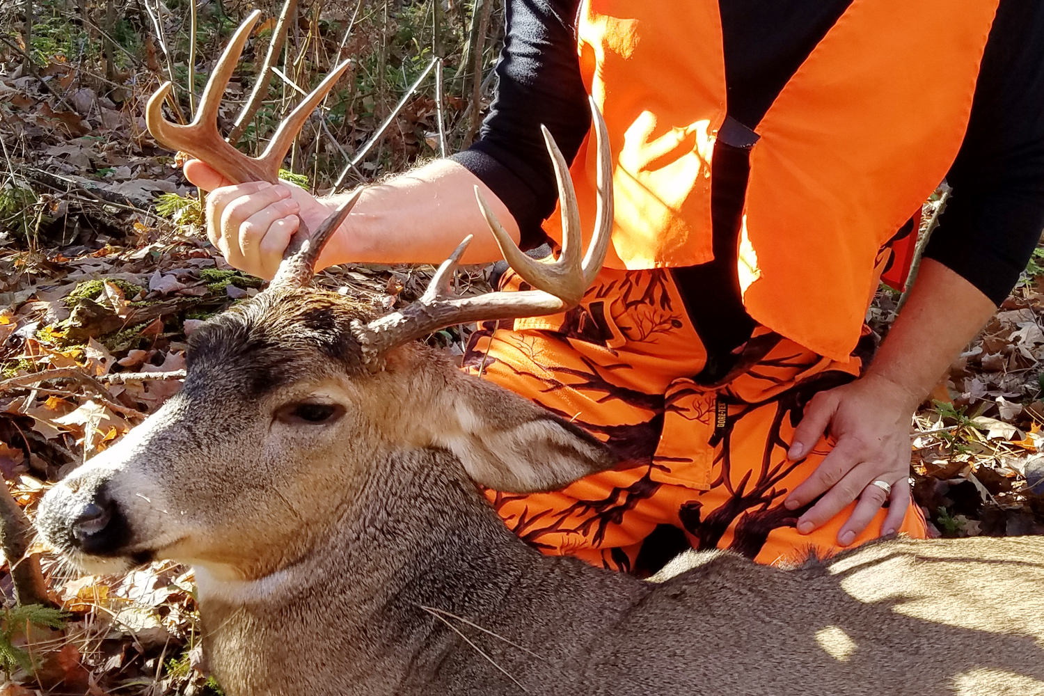 Hunting Doves After Opening Day Midwest Outdoors