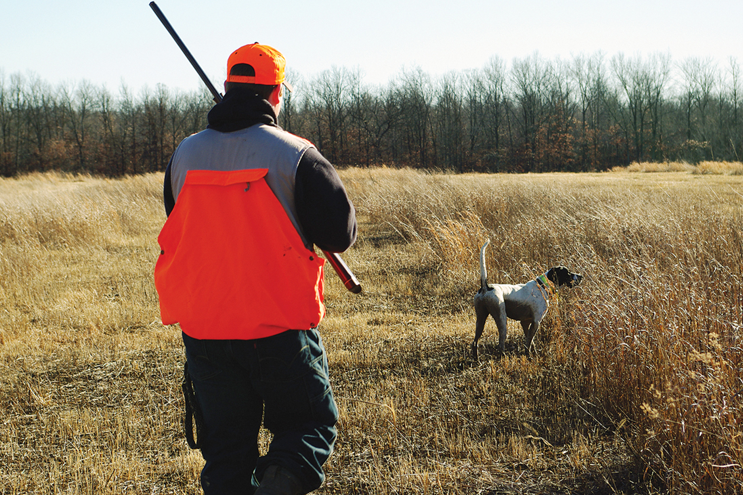 Anyone Can Hunt Coyotes in the Midwest Filling a gap in the hunting