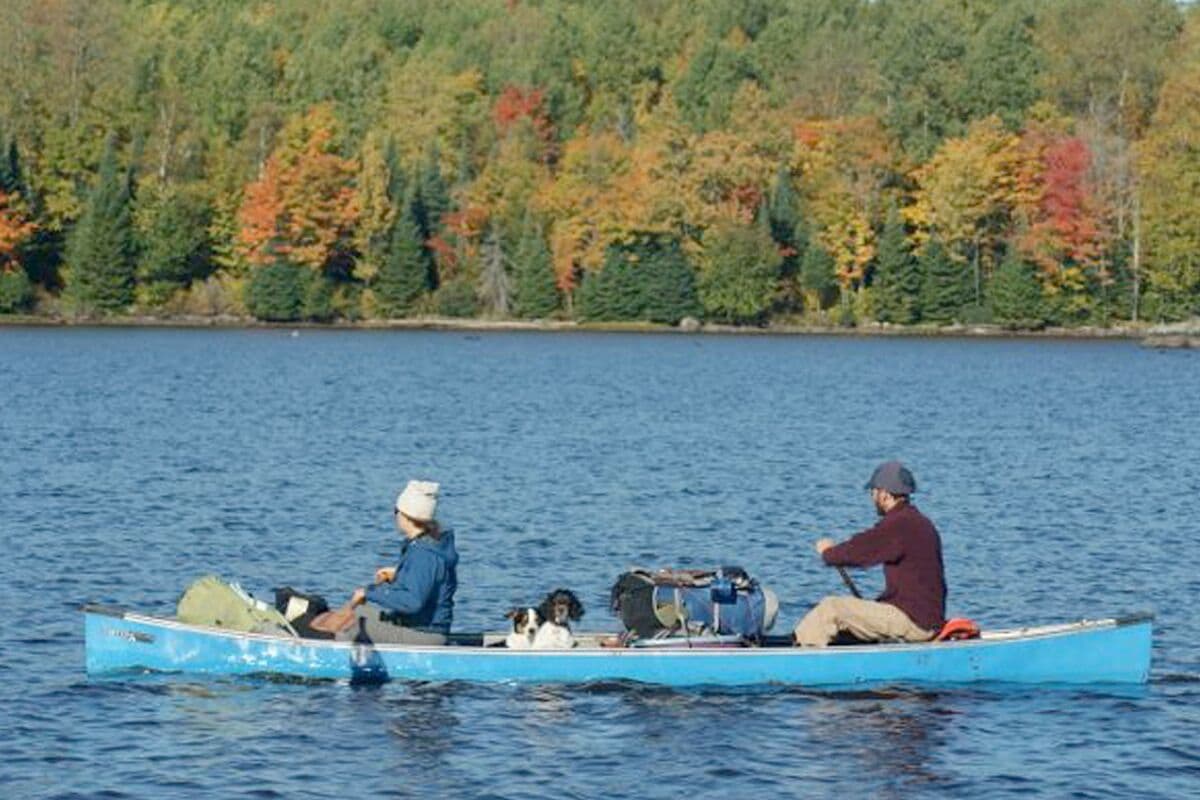 Turtle Flambeau Flowage A Gateway to Fishing in Paradise MidWest