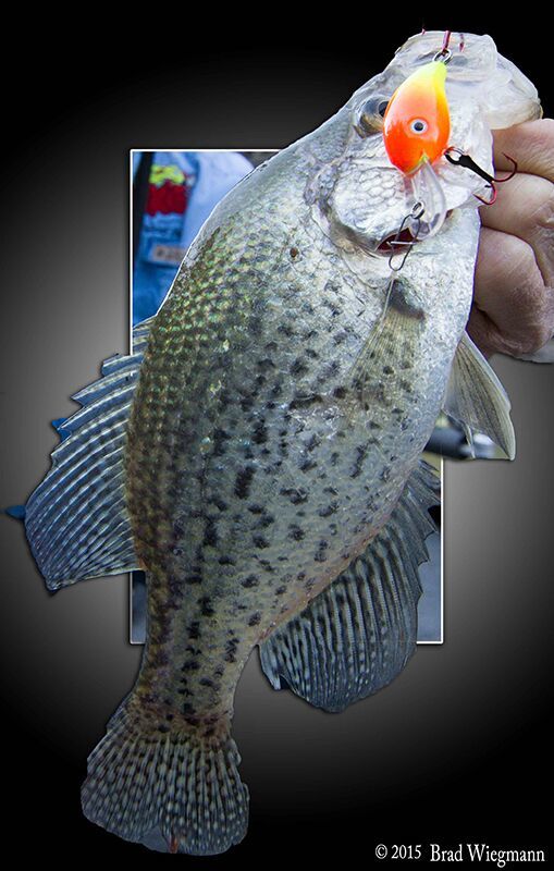 Lake Wisconsin's Spring Slabs - MidWest Outdoors