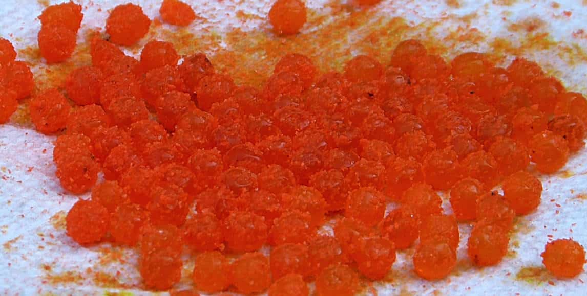 Curing Trout and Salmon Eggs Made Easy - MidWest Outdoors