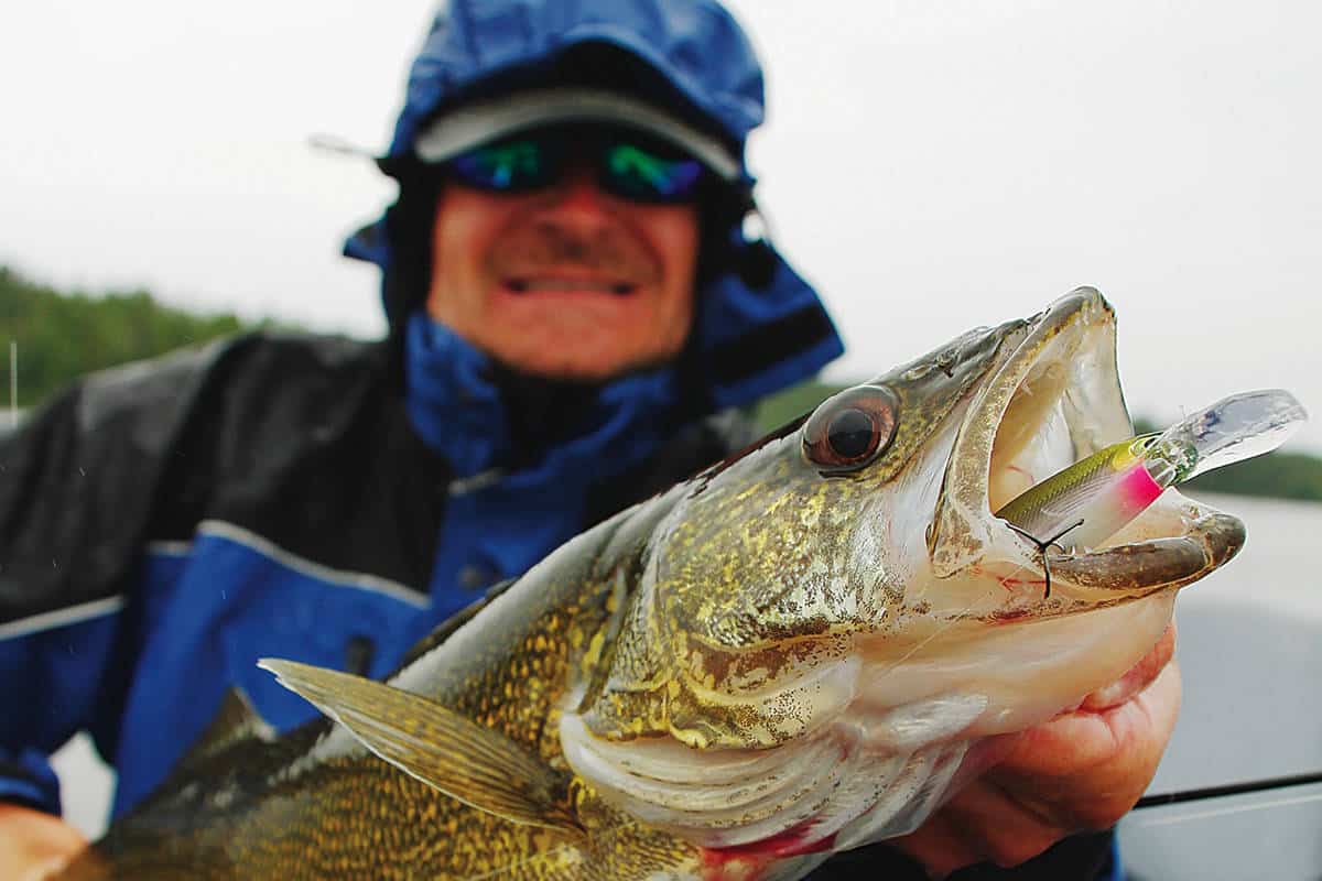 Scratch the Itch Early with Rainy Lake's Spring Bite - MidWest