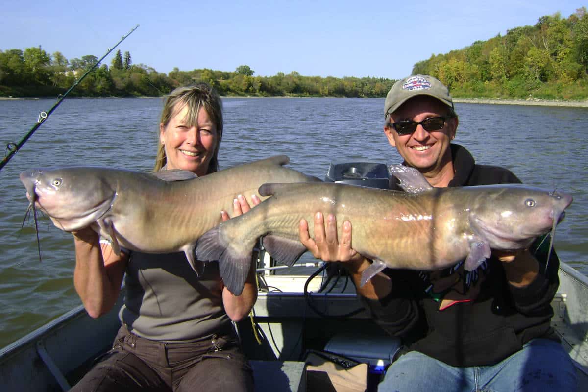 Catfishing in Canada? You Betcha! - MidWest Outdoors