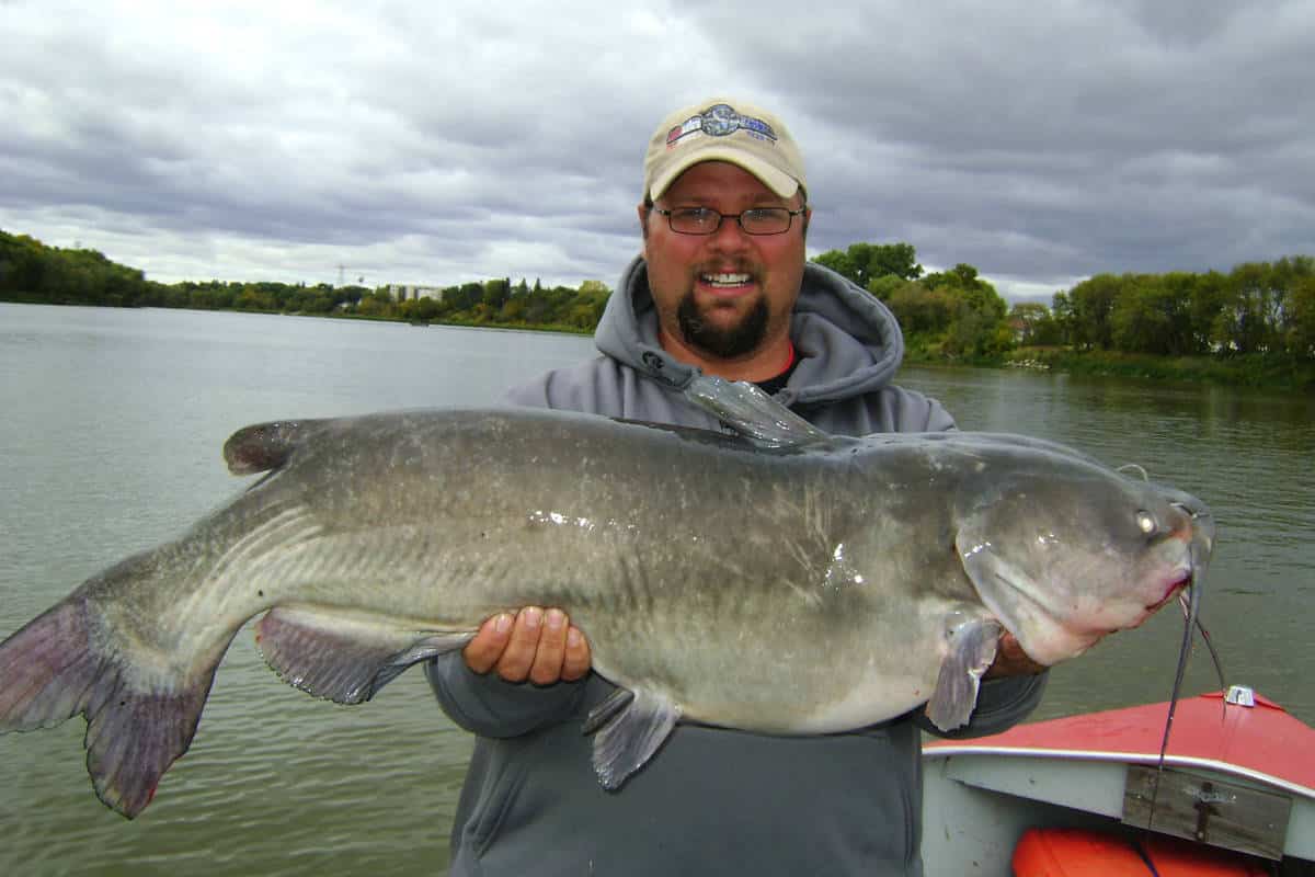 Catfishing in Canada? You Betcha! MidWest Outdoors