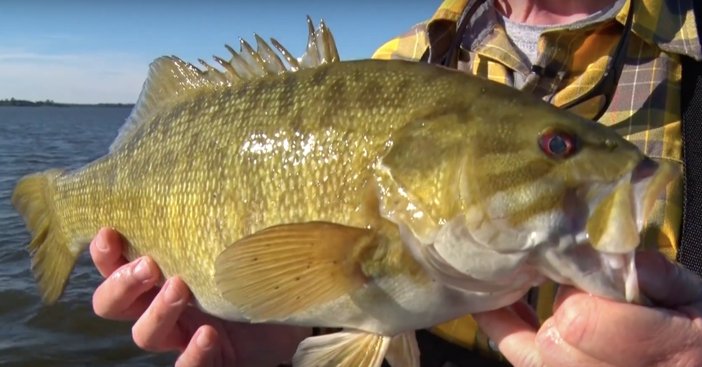 Eagle Lake, Ontario Fishing | Eagle Lake bass fishing | fishing Eagle Lake | Eagle Lake, Ontario | Eagle Lake smallmouth bass