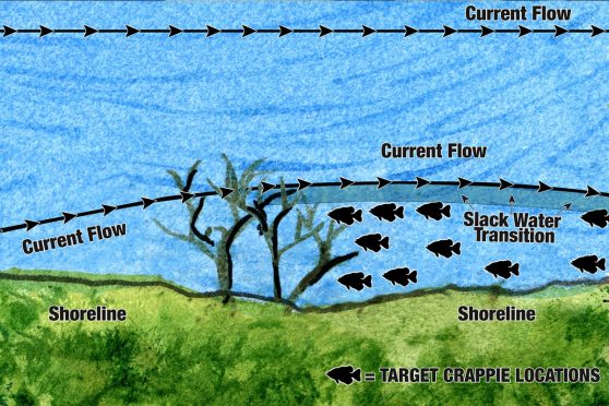 The Crappie Current Connection - MidWest Outdoors