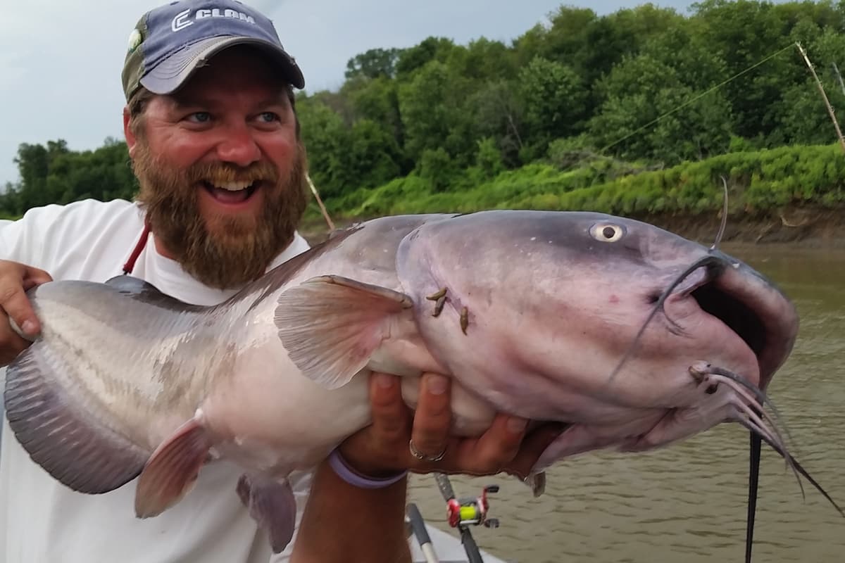 Nine Steps to Becoming a Better Catfish Angler - MidWest Outdoors