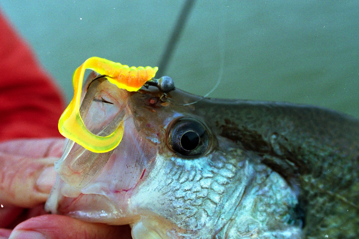 Customizing Curly-tail Grubs for more Crappies - MidWest Outdoors