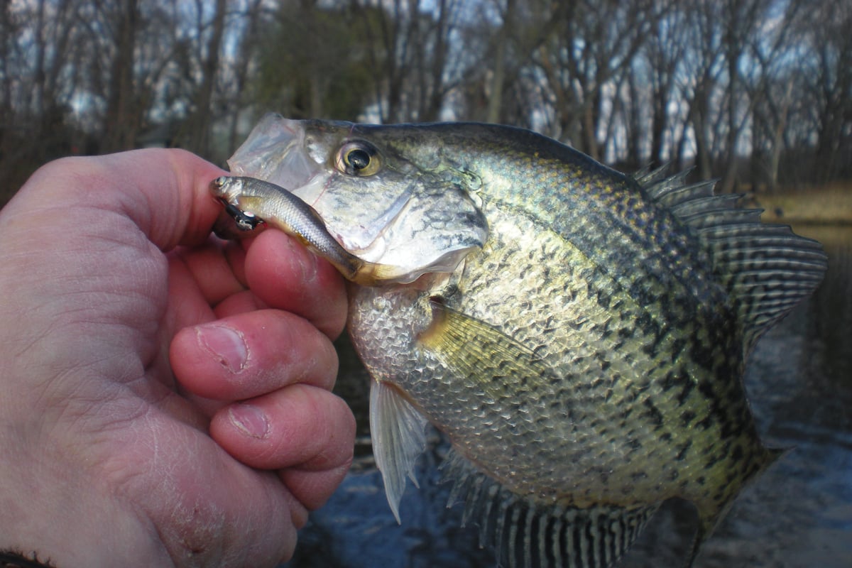 Get the Jump on April Crappies - MidWest Outdoors