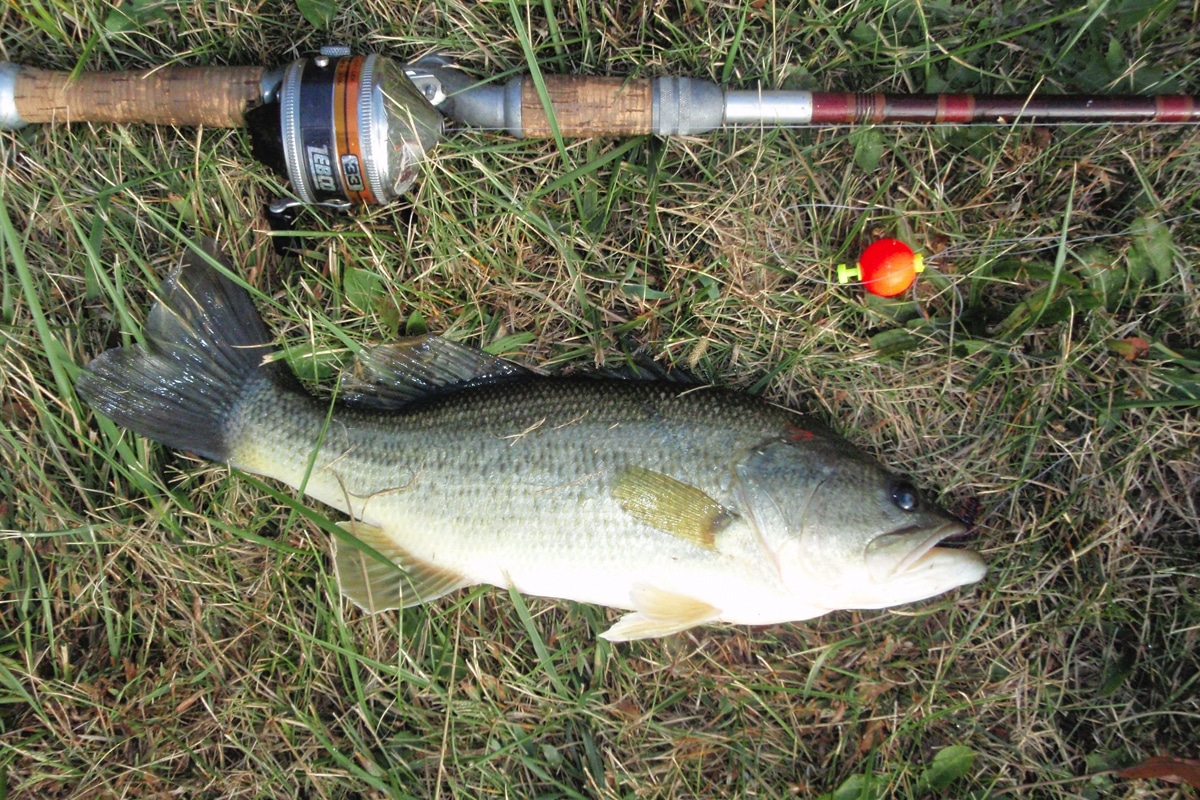 A + B = C: The Formula for Success When Pond Fishing This Summer