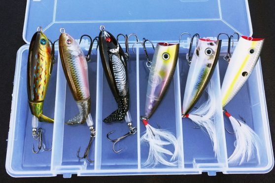 Fly Fishing Topwater Bass & Pike  Tips for success using Poppers