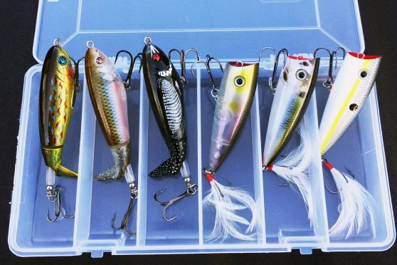 Topwater Lures: Wake, Pop or Walk