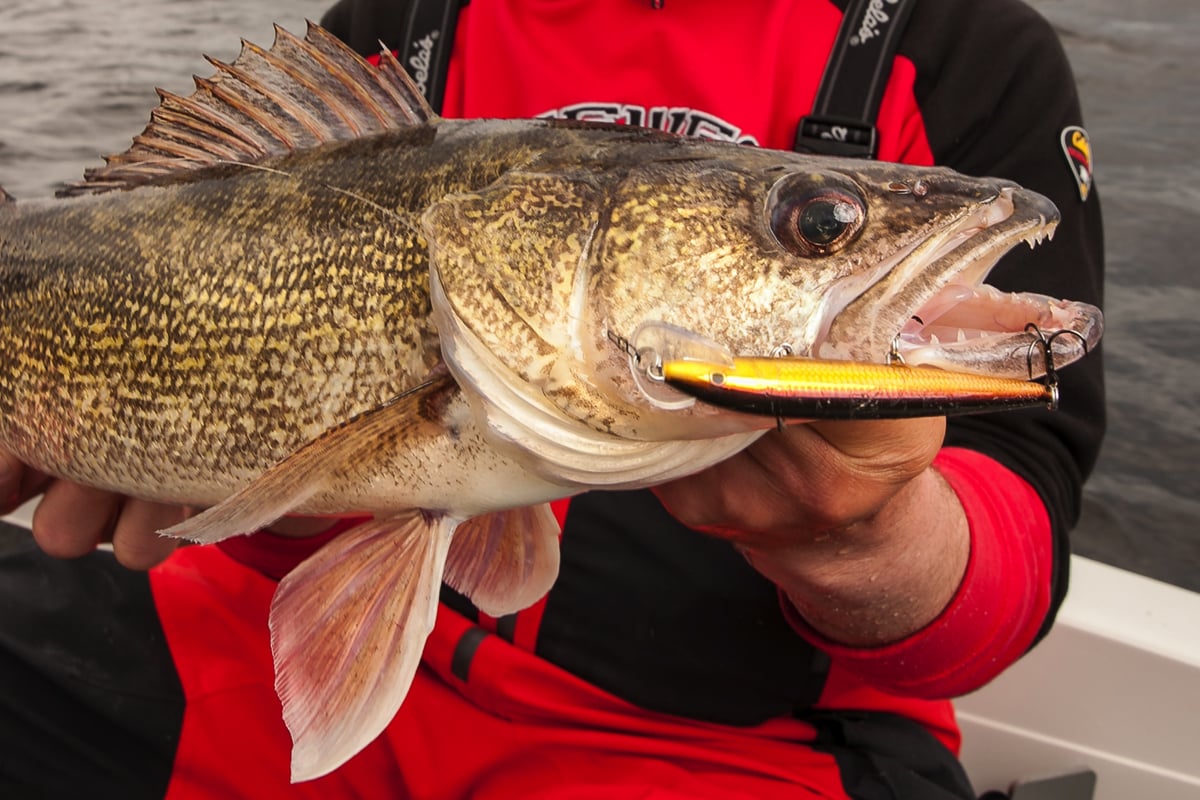 Up Your Odds on Stained-water Walleyes - MidWest Outdoors