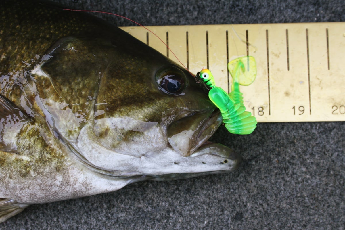 Choice Topwaters for Canadian Smallmouths: Chug, Prop or Walk Next Summer -  MidWest Outdoors