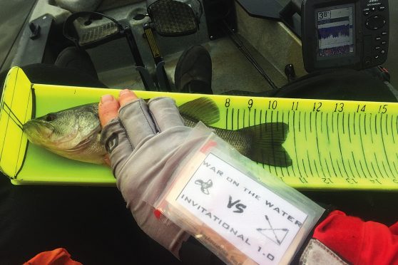 Slaughter on the Water: Bass Boats vs. Kayaks