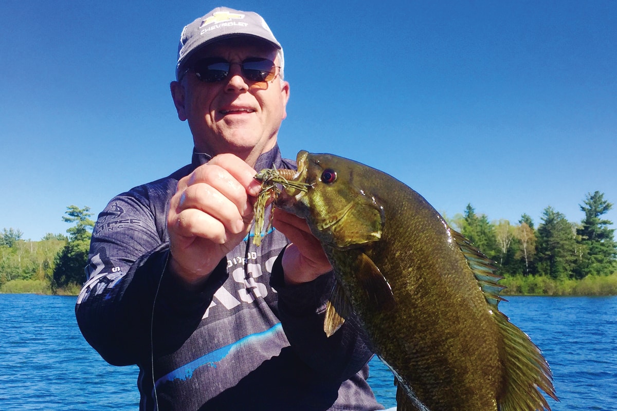 Summertime Swim Jig Fishing for Bass: One Bait, a Whole Bag of Tricks