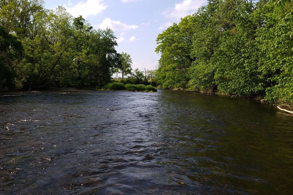 Exploring a Great Stretch of the Shiawassee River - MidWest Outdoors