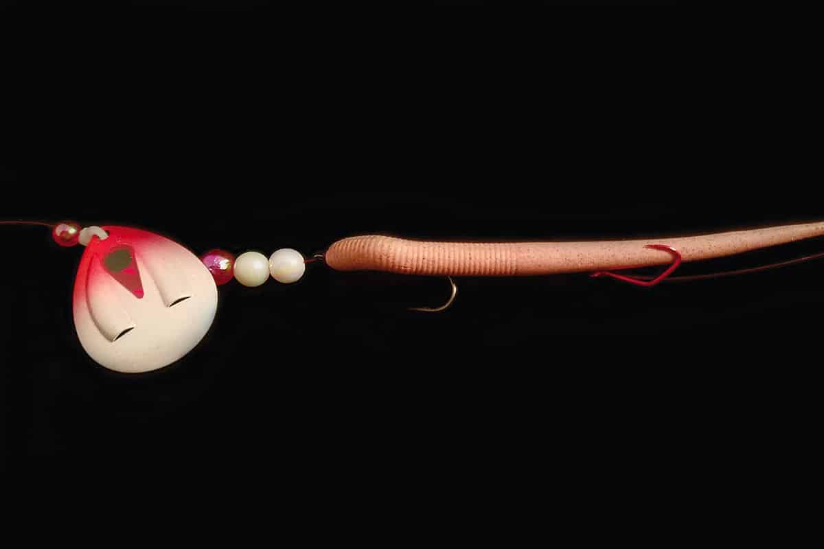 Speedy Spinners MidWest Outdoors