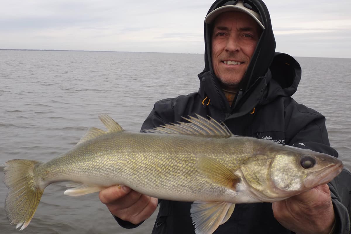 Catching Walleyes on Saginaw Bay: The Mystery Unraveled for Students -  MidWest Outdoors