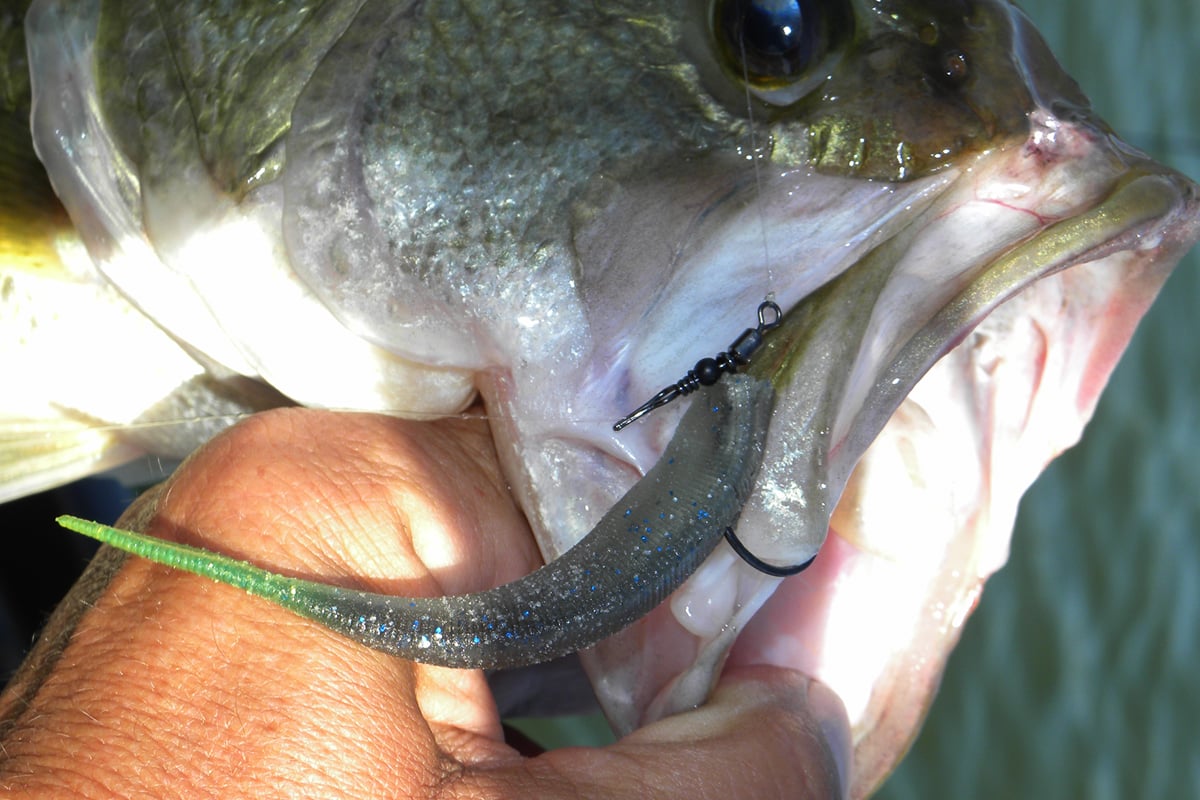 Drop Shot Rigging for Deep Smallmouth Bass - In-Fisherman