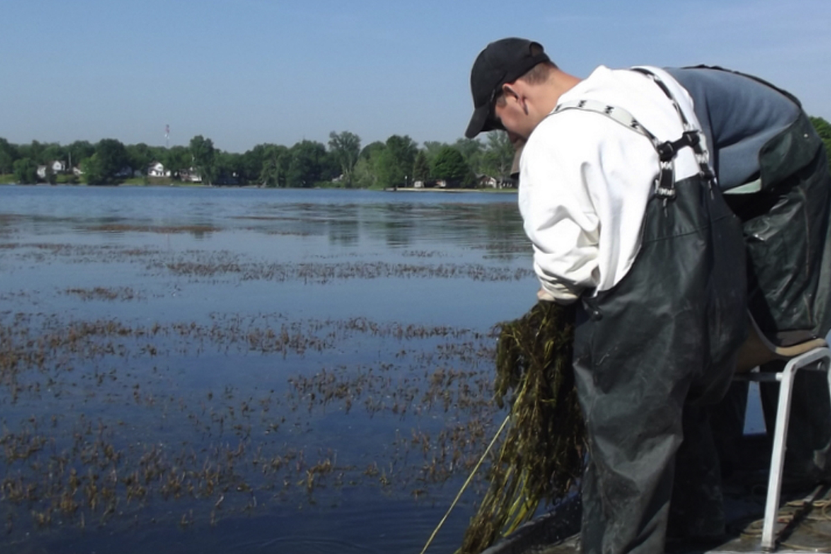 Lake Weed Treatments a Hotbutton Issue with Anglers MidWest Outdoors
